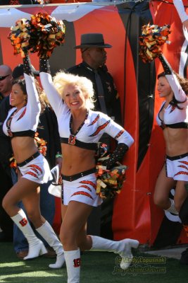 Cincinnati Bengals cheerleaders