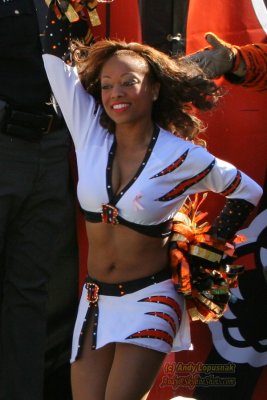Cincinnati Bengals cheerleader