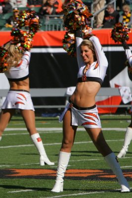 Cincinnati Bengals cheerleaders