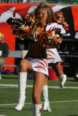 Cincinnati Bengals cheerleader