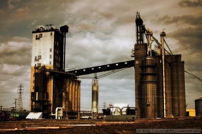 Cargill Plant in East St. Louis