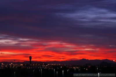 Phoenix at sunrise