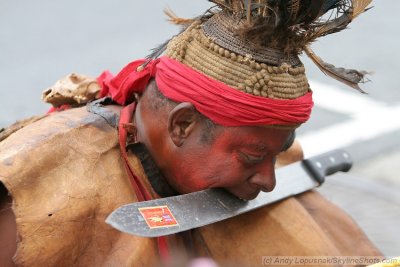 2009 Carnaval Parade - San Franicsco