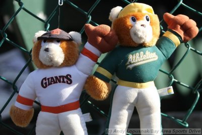 Giants & A's team bears