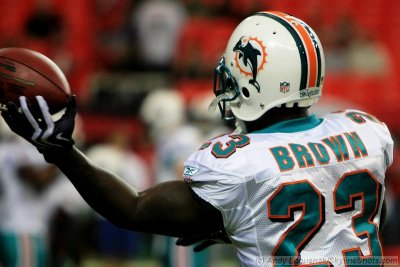 Miami Dolphins RB Ronnie Brown