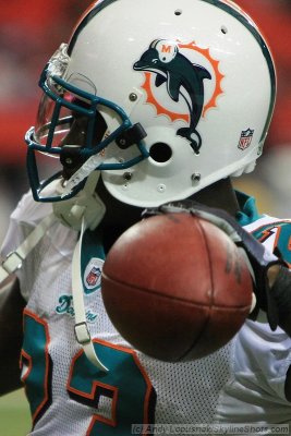 Miami Dolphins RB Ronnie Brown