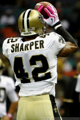 New Orleans Saints DB Darren Sharper