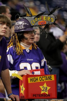 Minnesota Vikings fan