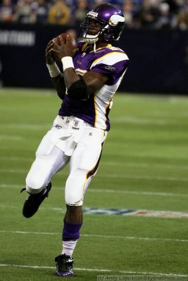 Minnesota Vikings RB Adrian Peterson