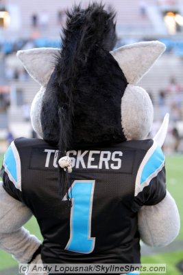 Florida Tuskers mascot