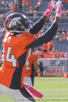 Denver Broncos WR Brandon Lloyd