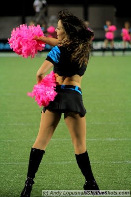 Florida Tuskers cheerleader