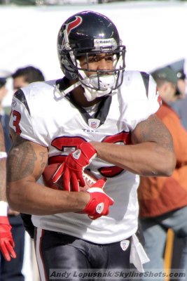 Houston Texans RB Arian Foster