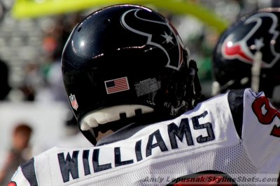 Houston Texans DL Mario Williams