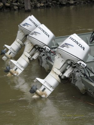 Boat motors
