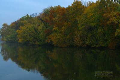 Teddy  Roosevelt Island