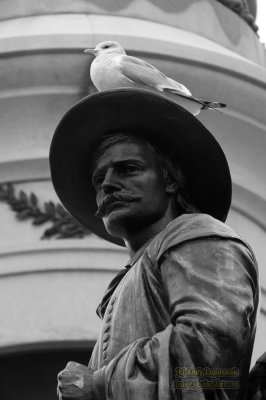 Bird on a statue near San Francisco's city hall