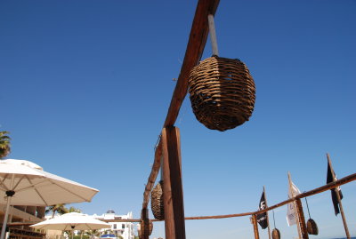 DSC_0300.JPG
