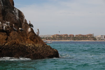 DSC_0351.JPG