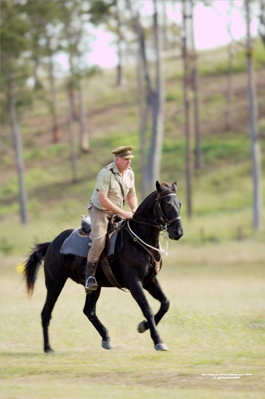 Boer War, WW1,  Light Horse