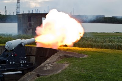 History Alive 2010