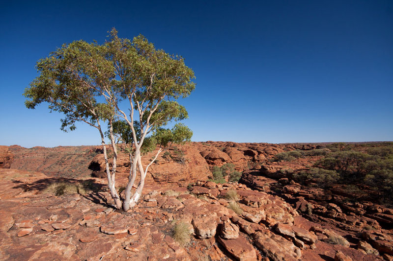 Kings Canyon Lookout