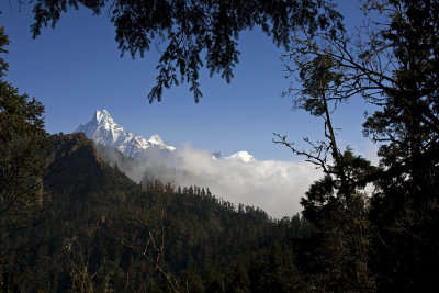 Peaks seen from the Forest