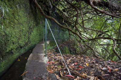 Levada Queimadas