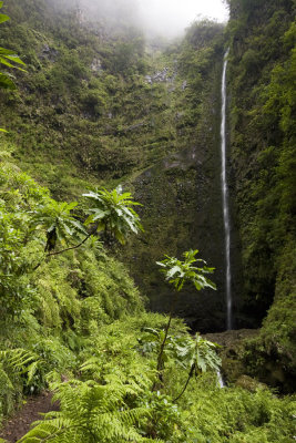 Waterfall, Caldeir�o Verde