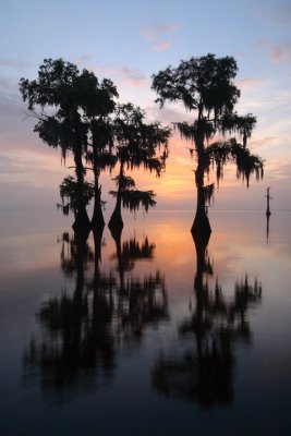 Morning on Louisiana Water