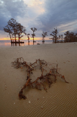 From The Shoreline