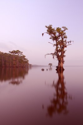 The Lake in '09