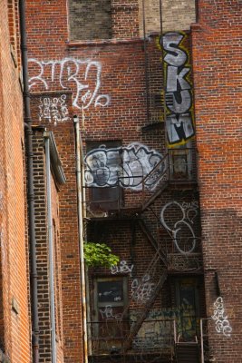 Graffiti and Murals