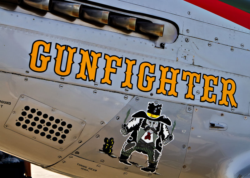 Gunfighter - Dale E.