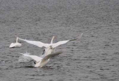 take off