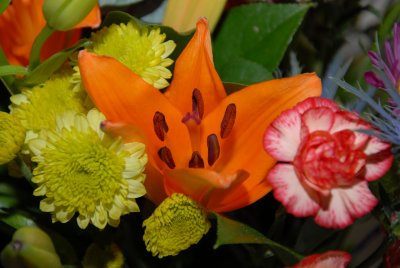 These are from a birthday bouquet I received. Love how they opened.