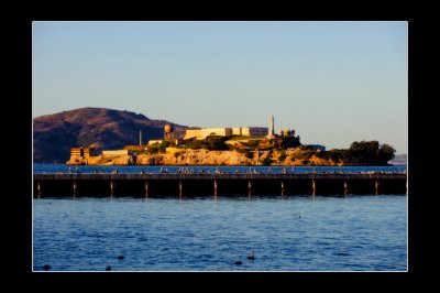 Alcatraz II