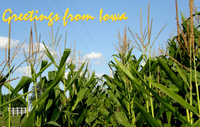 Stage 10:  What a corny postcard our farm's corn makes!