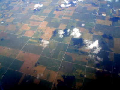 Iowa's landscape is all gridded out in 1 mile squares. Orange colors are soybean fields, brown fields are corn.