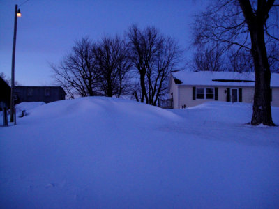 Part of front yard. (2/2/11)