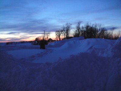 View from end of drive/neighbor's yard towards our house (by trees). Driveway is somewhere to the right! (2/2/11)