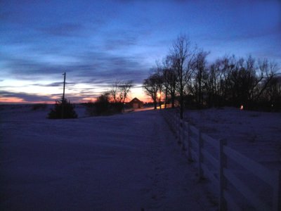 Our long snow-covered driveway runs to left of fence up to our house on right. Barn at end of driveway can be seen. (2/2/11)