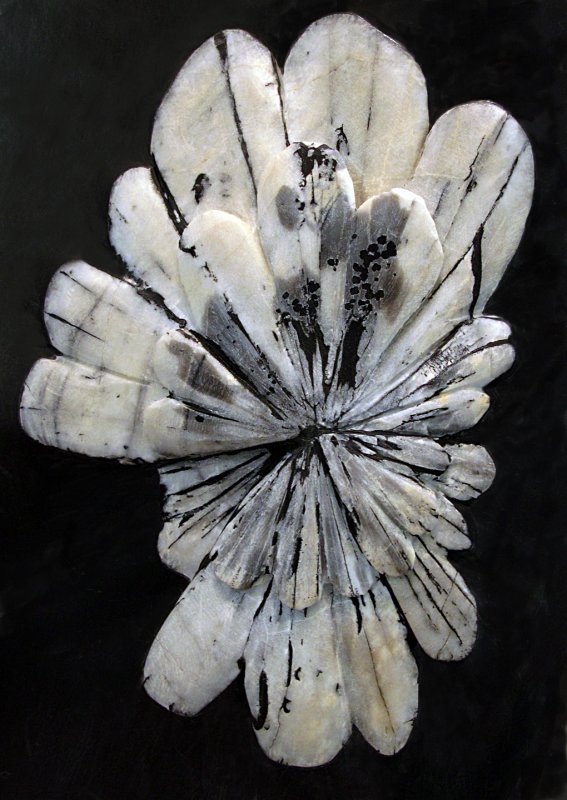 Chrysanthemum-Stone