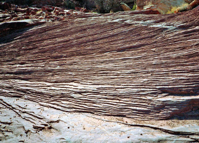 Ledged wall in Canyonlands