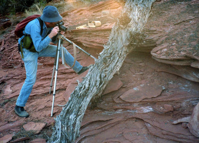 Photographing Tree Bark