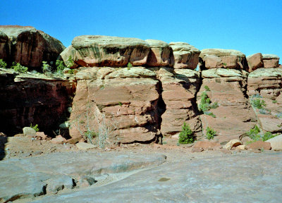 Canyonlands View Four