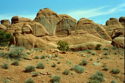 Landscape in Arches