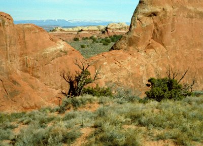 A View in Arches