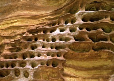 Pitted Sandstone