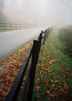 Bench Lane in Fog